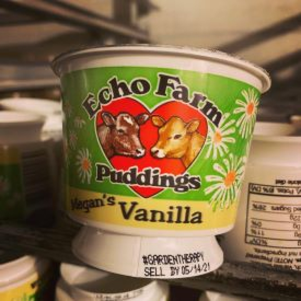 Echo Farm - Pudding , Vanilla, 6 oz.